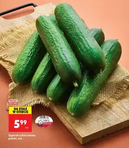 Biedronka Ogórek szklarniowy polski 1 szt. Biedronka oferta