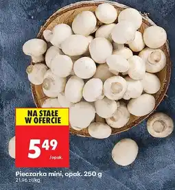 Biedronka Pieczarka mini, opak. 250 g Biedronka oferta