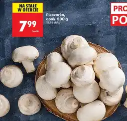 Biedronka Pieczarka, opak. 500 g Biedronka oferta