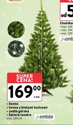 Intermarche Sosna oferta