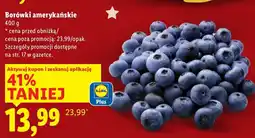 Lidl Borówki amerykańskie Lidl oferta