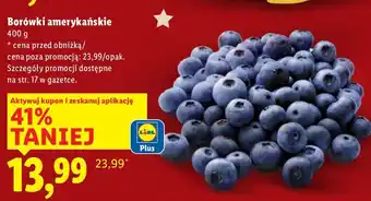 Borówki amerykańskie Lidl
