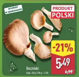 ALDI Boczniaki 250 g Aldi oferta