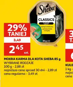 Auchan Mokra karma dla kota Sheba oferta