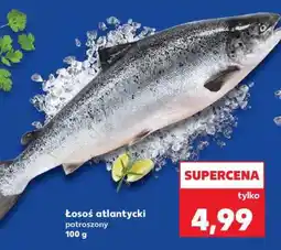 Kaufland Łosoś atlantycki oferta