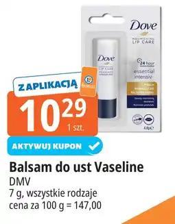 E.Leclerc Pomadka do ust Dove oferta