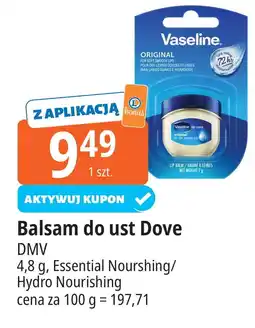 E.Leclerc Balsam do ust rosy Vaseline oferta