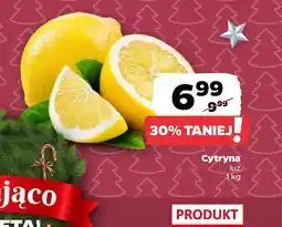 Netto Cytryna oferta