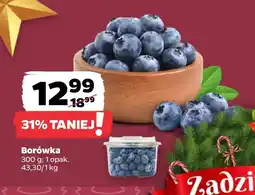Netto Borówka oferta