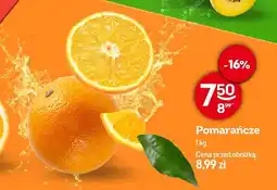 Żabka Pomarańcze Żabka oferta