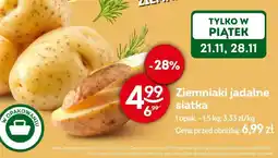 Żabka Ziemniaki jadalne siatka Żabka oferta