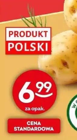 Żabka Ziemniaki Żabka oferta