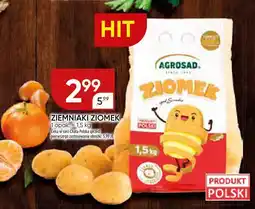 Chata Polska Ziemniaki Ziomek Agrosad oferta