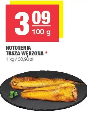 Spar Nototenia tusza wędzona SPAR oferta