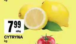 Chorten Cytryna Chorten oferta