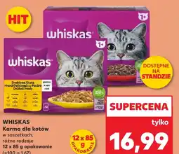 Kaufland Karma dla kota Whiskas oferta