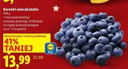 Lidl Borówki amerykańskie oferta