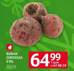 Selgros Burak oferta