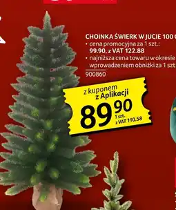 Selgros Choinka C &C oferta