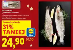 Lidl Pstrąg tęczowy Targ rybny Lidla oferta