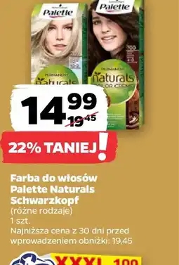Netto Farba do włosów Palette Naturals Schwarzkopf! oferta