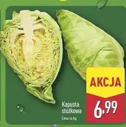 ALDI Kapusta stożkowa oferta