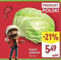 ALDI Kapusta gołąbkowa oferta
