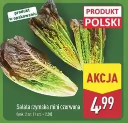 ALDI Sałata rzymska mini czerwona oferta