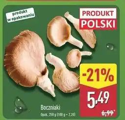 ALDI Boczniaki oferta