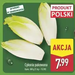 ALDI Cykoria oferta