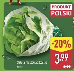 ALDI Sałata masłowa oferta