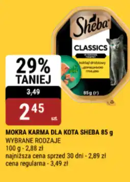 bi1 Mokra karma dla kota Sheba oferta