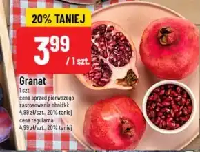Polomarket Granat oferta