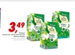 Sklep Polski Herbata Herbapol oferta