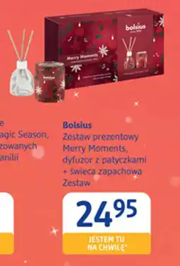 dm drogerie markt Bolsius Zestaw prezentowy Merry Moments oferta