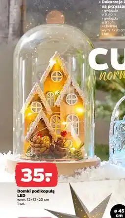 Netto Domki led pod kopułą oferta