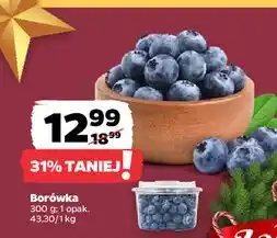 Netto Borówki amerykańskie oferta