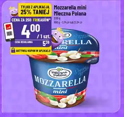Polomarket Mozzarella mini Mleczna Polana 230 g oferta