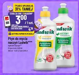 Polomarket Płyn do mycia naczyń Ludwik oferta