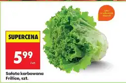 Biedronka Sałata karbowana Frillice Biedronka oferta
