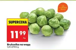 Biedronka Brukselka Biedronka oferta