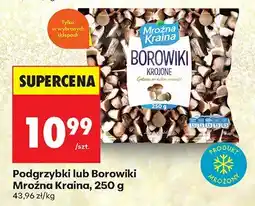 Biedronka Podgrzybki lub Borowiki Mrożna Kraina, 250 g oferta