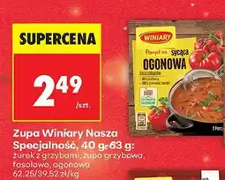 Biedronka Zupa Winiary Nasza Specjalność ogonowa oferta