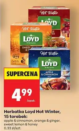 Biedronka Herbatka Loyd Hot Winter, 15 torebek oferta