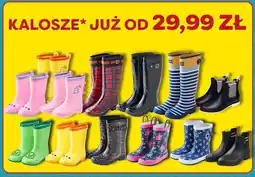 Polomarket Kalosze oferta