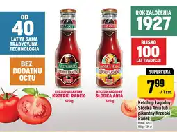 Polomarket Ketchup łagodny Słodka Ania lub pikantny Krzepki Radek Rybak, 520 g oferta
