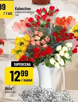 Polomarket Róże (bukiet 9 szt.) oferta