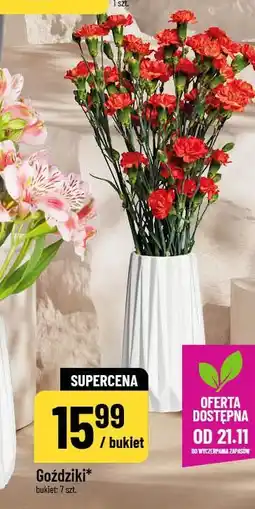 Polomarket Goździki (bukiet 7 szt.) oferta