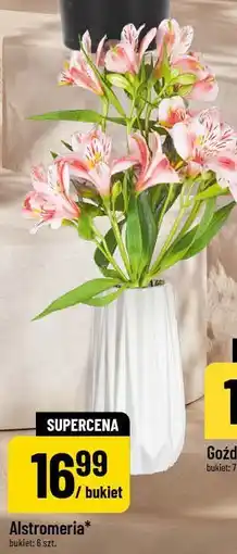 Polomarket Alstroemeria (bukiet 6 szt.) oferta