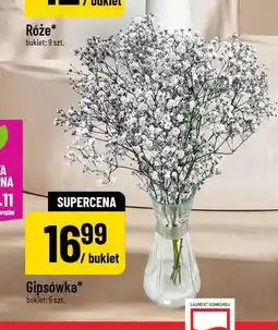 Polomarket Gipsówka (bukiet 5 szt.) oferta